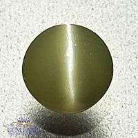 Chrysoberyl Cat's Eye 0.49ct Natural Gemstone