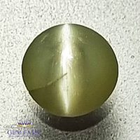 Chrysoberyl Cat's Eye 0.39ct Natural Gemstone