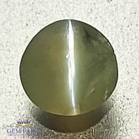 Chrysoberyl Cat's Eye 0.46ct Natural Gemstone