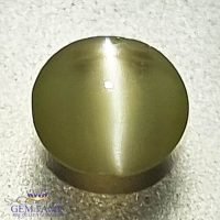 Chrysoberyl Cat's Eye 0.67ct Natural Gemstone