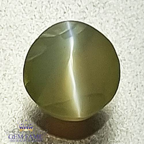 Chrysoberyl Cat's Eye 0.67ct Natural Gemstone