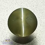 Chrysoberyl Cat's Eye 0.71ct Natural Gemstone