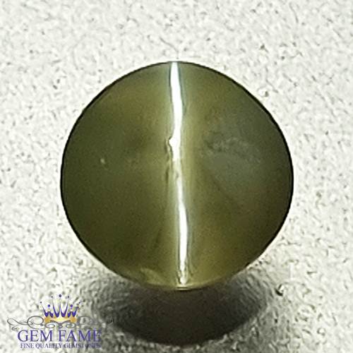 Chrysoberyl Cat's Eye 0.71ct Natural Gemstone