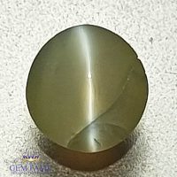 Chrysoberyl Cat's Eye 0.56ct Natural Gemstone