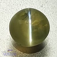 Chrysoberyl Cat's Eye 0.70ct Natural Gemstone