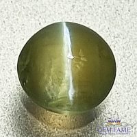 Chrysoberyl Cat's Eye 0.55ct Natural Gemstone