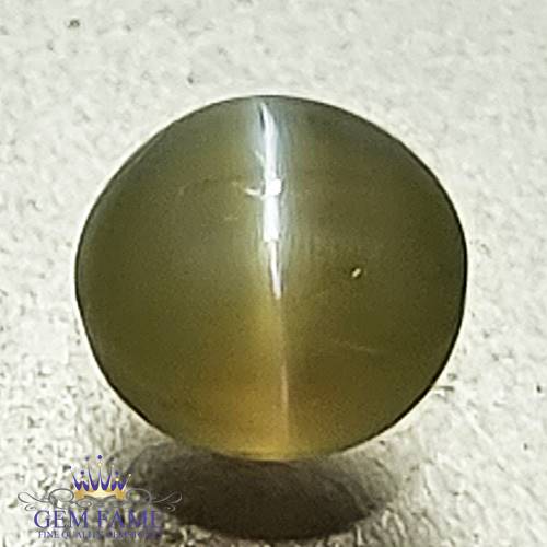 Chrysoberyl Cat's Eye 0.66ct Natural Gemstone