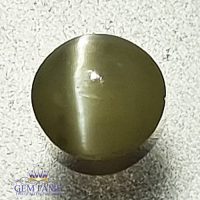 Chrysoberyl Cat's Eye 0.35ct Natural Gemstone