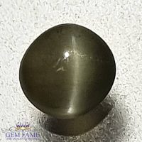 Chrysoberyl Cat's Eye 0.75ct Natural Gemstone