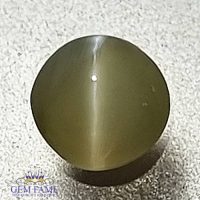 Chrysoberyl Cat's Eye 0.58ct Natural Gemstone