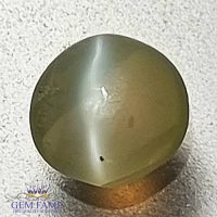 Chrysoberyl Cat's Eye 0.43ct Natural Gemstone