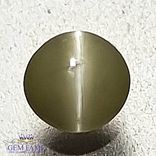 Chrysoberyl Cat's Eye 0.43ct Natural Gemstone