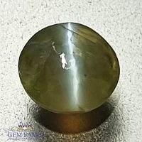 Chrysoberyl Cat's Eye 0.68ct Natural Gemstone