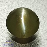 Chrysoberyl Cat's Eye 0.56ct Natural Gemstone