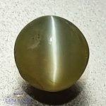 Chrysoberyl Cat's Eye 0.72ct Natural Gemstone India