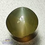 Chrysoberyl Cat's Eye 0.66ct Natural Gemstone India