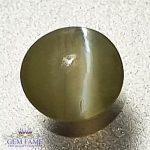 Chrysoberyl Cat's Eye 0.45ct Natural Gemstone India