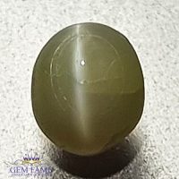 Chrysoberyl Cat's Eye 0.69ct Natural Gemstone