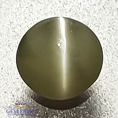 Chrysoberyl Cat's Eye 0.43ct Natural Gemstone