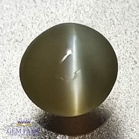 Chrysoberyl Cat's Eye 0.73ct Natural Gemstone