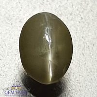 Chrysoberyl Cat's Eye 0.80ct Natural Gemstone