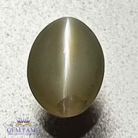 Chrysoberyl Cat's Eye 0.64ct Natural Gemstone