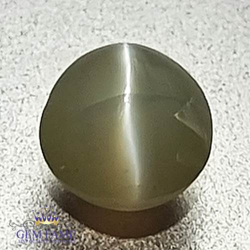 Chrysoberyl Cat's Eye 0.67ct Natural Gemstone