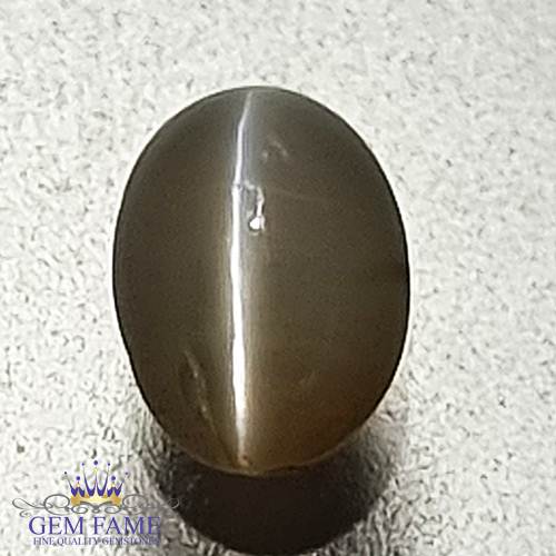 Chrysoberyl Cat's Eye 0.73ct Natural Gemstone