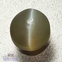 Chrysoberyl Cat's Eye 0.61ct Natural Gemstone