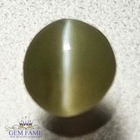 Chrysoberyl Cat's Eye 0.56ct Natural Gemstone