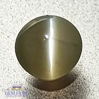 Chrysoberyl Cat's Eye 0.48ct Natural Gemstone