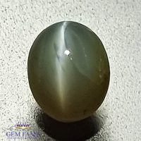 Chrysoberyl Cat's Eye 0.92ct Natural Gemstone