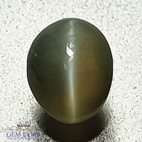 Chrysoberyl Cat's Eye 0.89ct Natural Gemstone