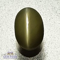 Chrysoberyl Cat's Eye 0.67ct Natural Gemstone