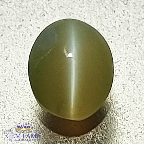 Chrysoberyl Cat's Eye 0.73ct Natural Gemstone