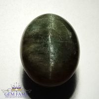 Quartz Cats Eye 15.60ct Natural Gemstone