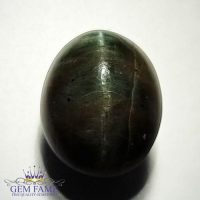 Quartz Cats Eye 13.54ct Natural Gemstone