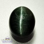 Quartz Cats Eye 3.06ct Natural Gemstone India