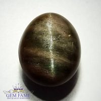 Quartz Cats Eye 10.72ct Natural Gemstone