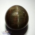 Quartz Cats Eye 22.88ct Natural Gemstone India