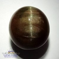 Quartz Cats Eye 27.64ct Natural Gemstone