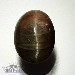 Quartz Cats Eye 8.74ct Natural Gemstone