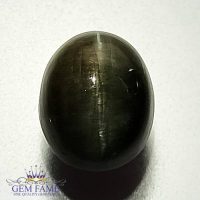 Quartz Cats Eye 4.93ct Natural Gemstone