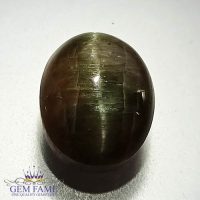 Quartz Cats Eye 7.26ct Natural Gemstone