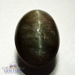 Quartz Cats Eye 6.00ct Natural Gemstone