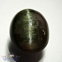 Quartz Cats Eye 6.85ct Natural Gemstone