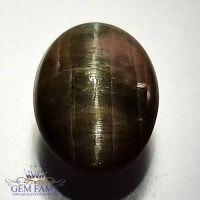 Quartz Cats Eye 9.08ct Natural Gemstone