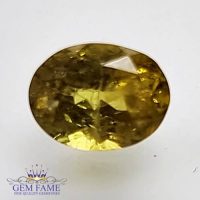 Grossular Garnet 1.63ct Natural Gemstone Africa