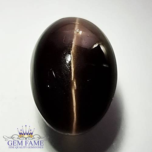 Sillimanite Cat's Eye 21.37ct Rare Gemstone