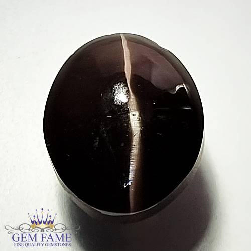 Sillimanite Cat's Eye 13.56ct Rare Gemstone